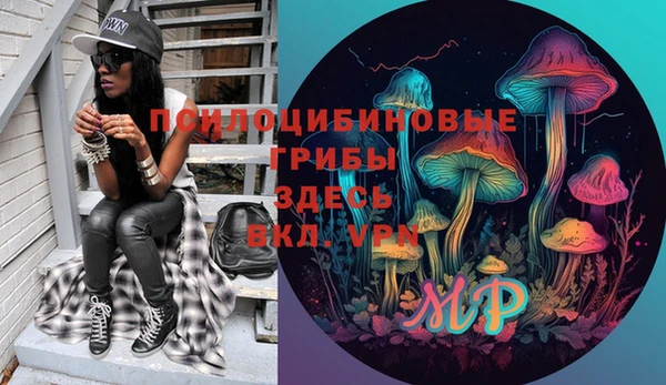 тгк Аркадак