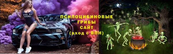 не бодяженный Арсеньев